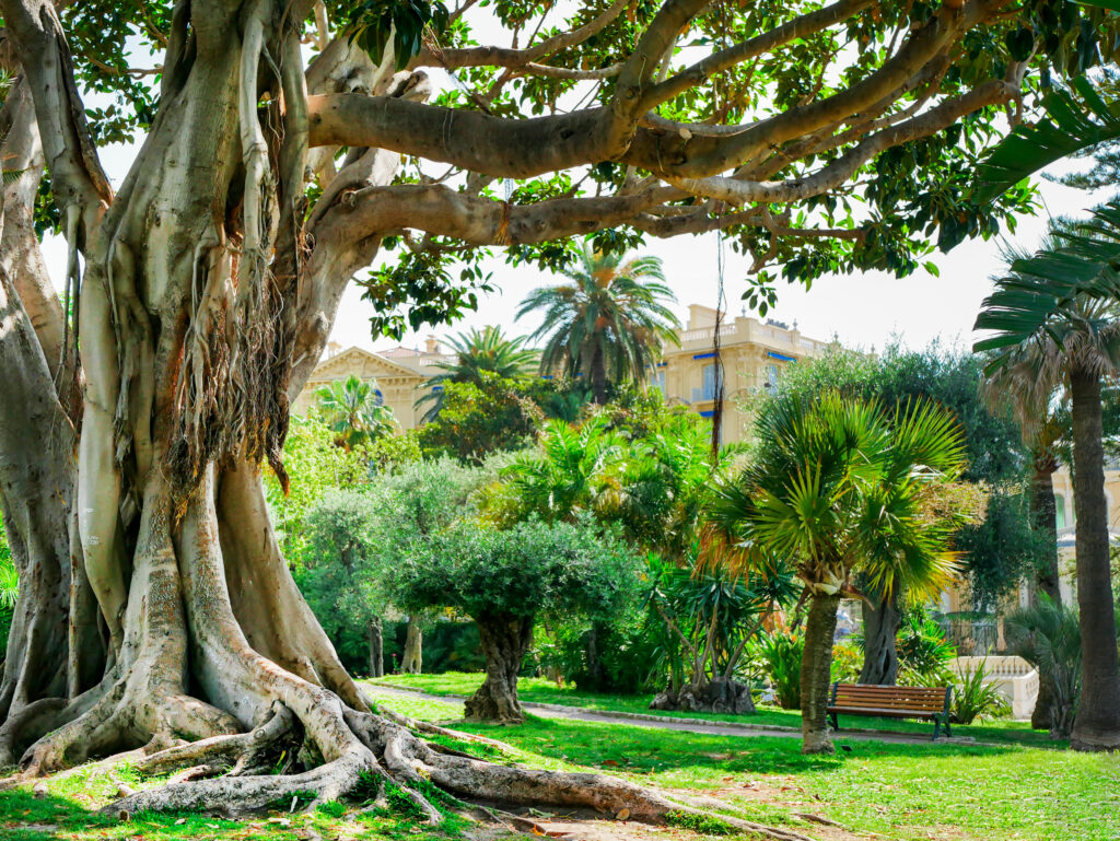 Jardin Verdun