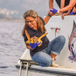 Relache-Tortue-Lucie-Octobre-2026-10