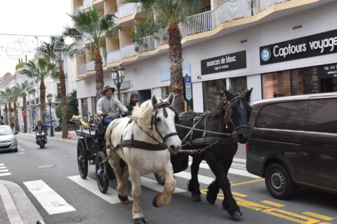 Promenades en calèche dans l'agenda de Beaulieu-sur-Mer (Photo)