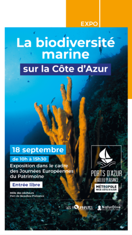 Exposition de roll-ups « La Biodiversité marine sur la Côte d’Azur » dans l'agenda de Beaulieu-sur-Mer (Photo)