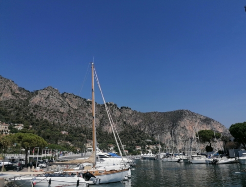 Marine Biodiversity Exhibition dans l'agenda de Beaulieu-sur-Mer (Photo)